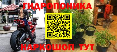 а пвп мука Дубна