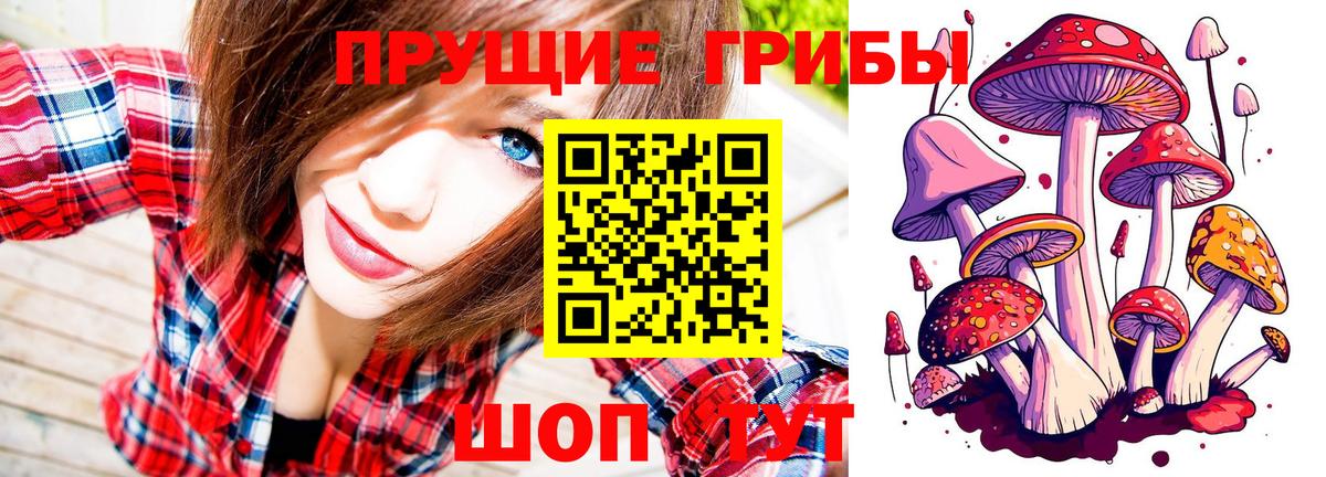 Псилоцибиновые грибы Cubensis Десногорск